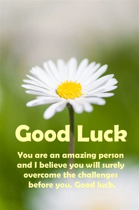 best of luck|good luck messages for colleagues.